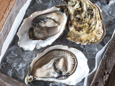 frutti di mare all'ingrosso in toscana