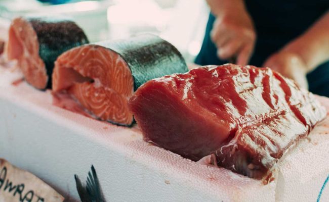 pesce fresco distribuito all'ingrosso