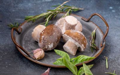 distribuzione funghi congelati in Toscana